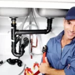 How a Professional Plumber Can Save You Time and Money