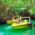 Activities on a Jungle Tour in Cancún