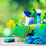 Eco-Friendly House Cleaning Tips: Go Green and Clean