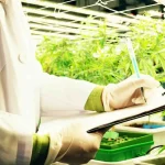 Financial Solutions for the Evolving Cannabis and Hemp Industries
