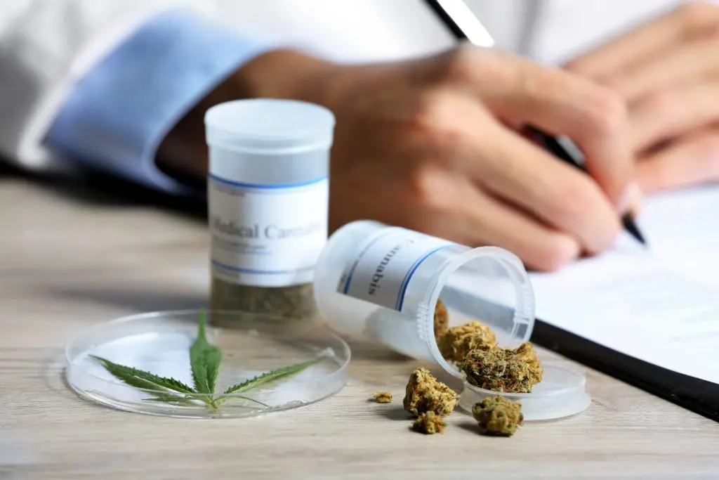The Healing Potential of Medical Marijuana
