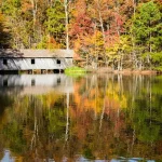 Discovering the Nature Trails and Parks Close to Madison AL